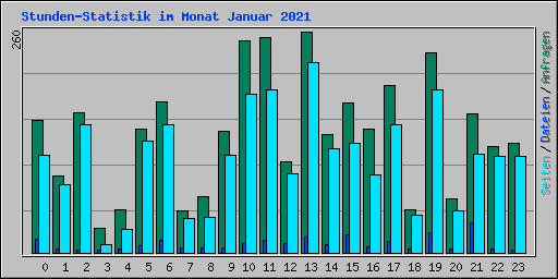 Stunden-Statistik im Monat Januar 2021